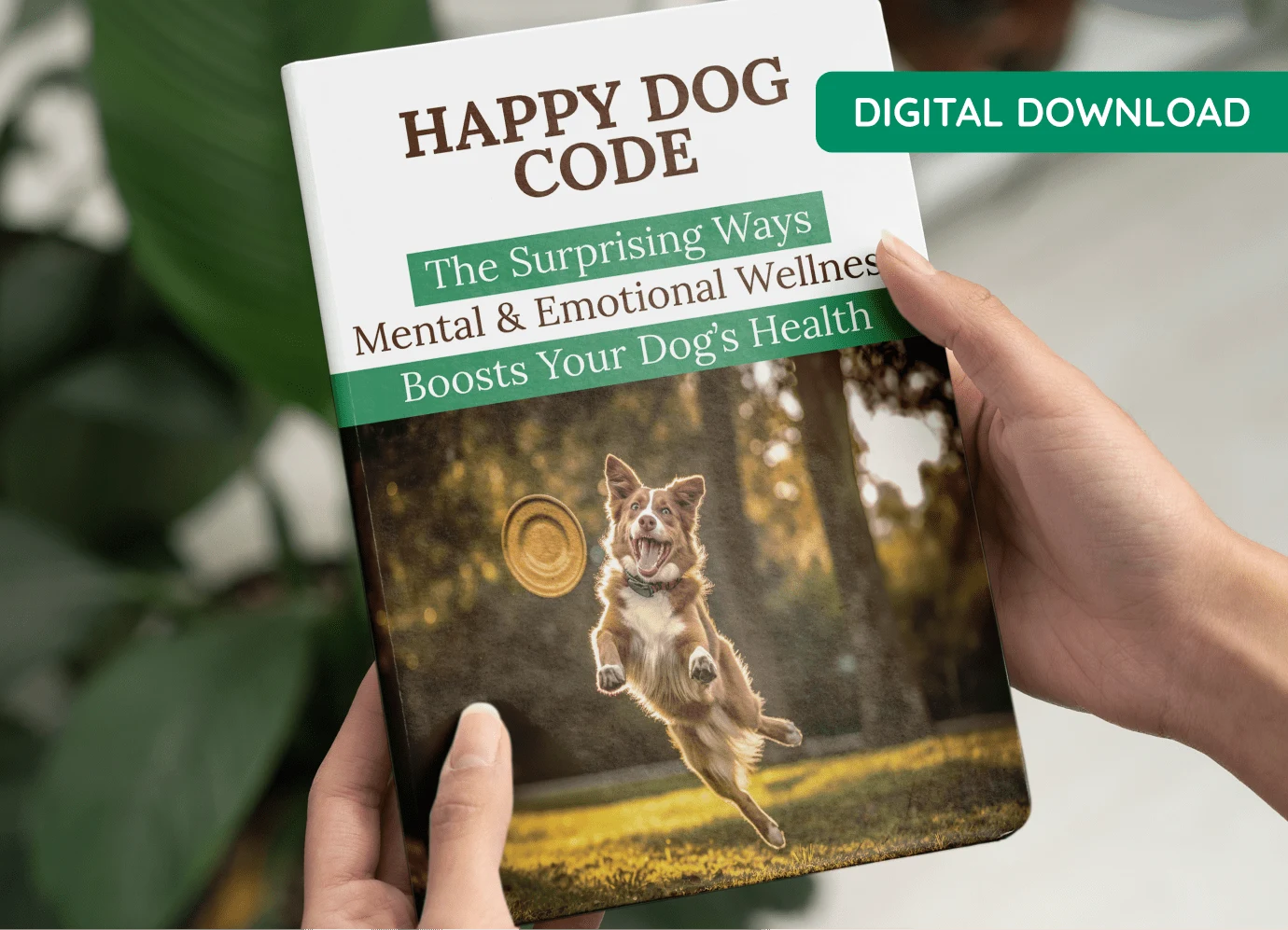 Happy Dog Code