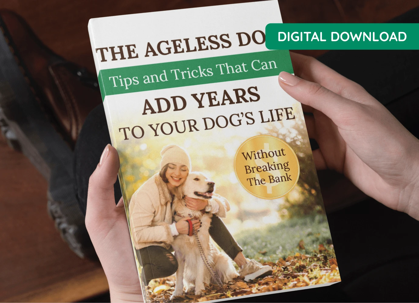 The Ageless Dog